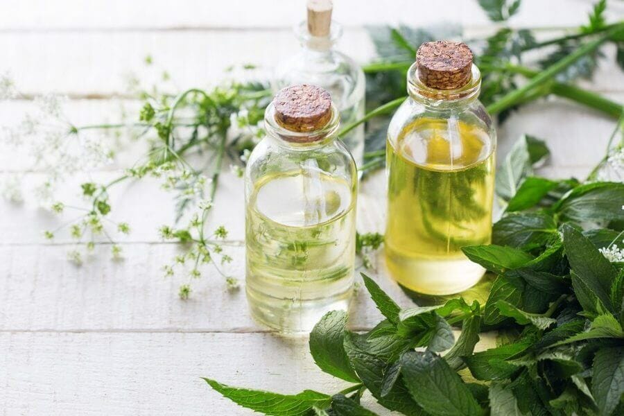 ekstrakty roślinne w kosmetyce, wyciągi ziołowe stosowane w kosmetyce, właściwości i zastosowanie, www.praktycznyblog.pl